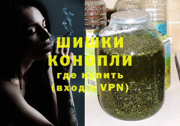 гидра Корсаков