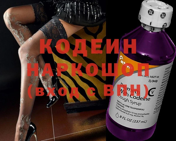 гидра Корсаков