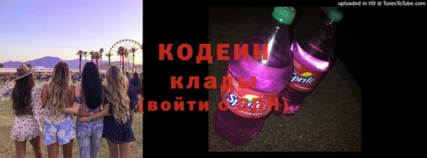 гидра Корсаков