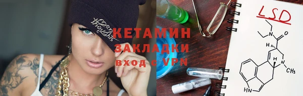 стаф Коряжма