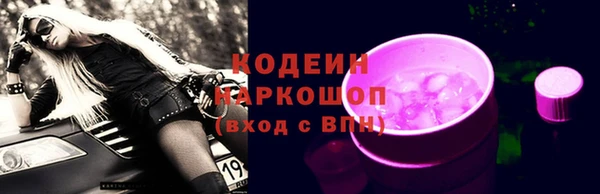 гидра Корсаков