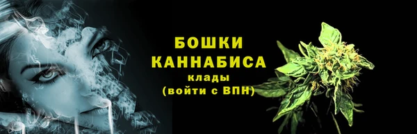 ECSTASY Костерёво