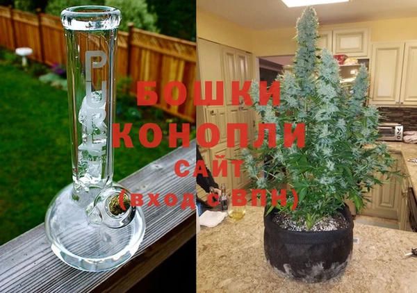 гидра Корсаков
