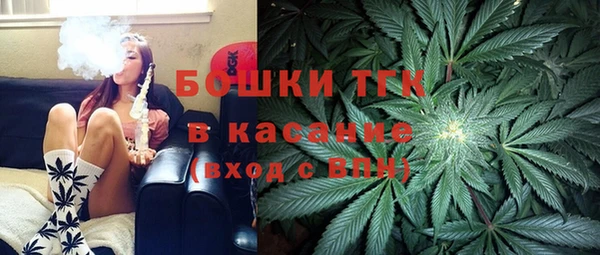 стаф Коряжма