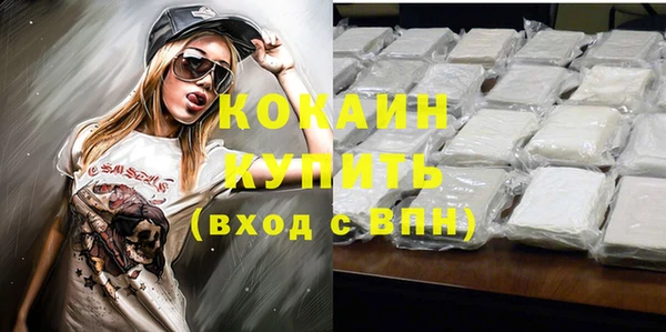 гидра Корсаков