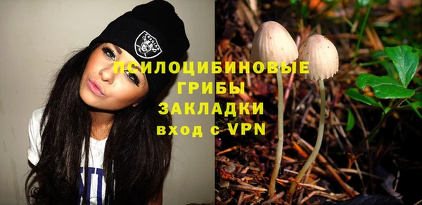 ECSTASY Костерёво