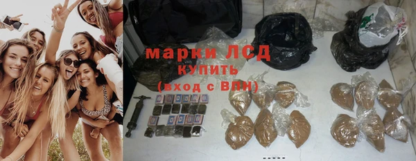 стаф Коряжма