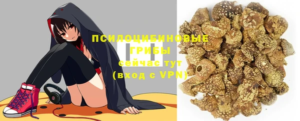 стаф Коряжма