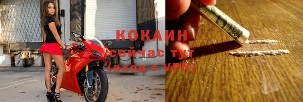 ECSTASY Костерёво
