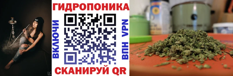 Марихуана Bruce Banner  Купить закладки  Пущино 